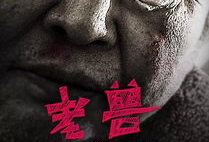 老电影下载,老电影下载之旅