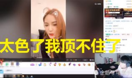 韩语性爱直播怎么说,揭秘网络直播的灰色地带