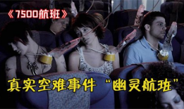 幽灵航班 电影,揭秘神秘空难背后的惊悚真相