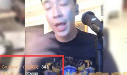 刘一手在91直播,揭秘网红背后的真实人生