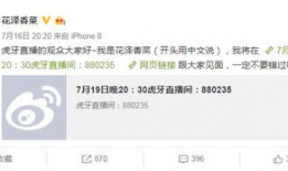 性爱直播间网址,暗流涌动的虚拟世界